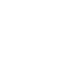alert icon