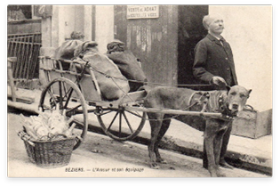 Album de cartes postales Banque de photographies et d'images à