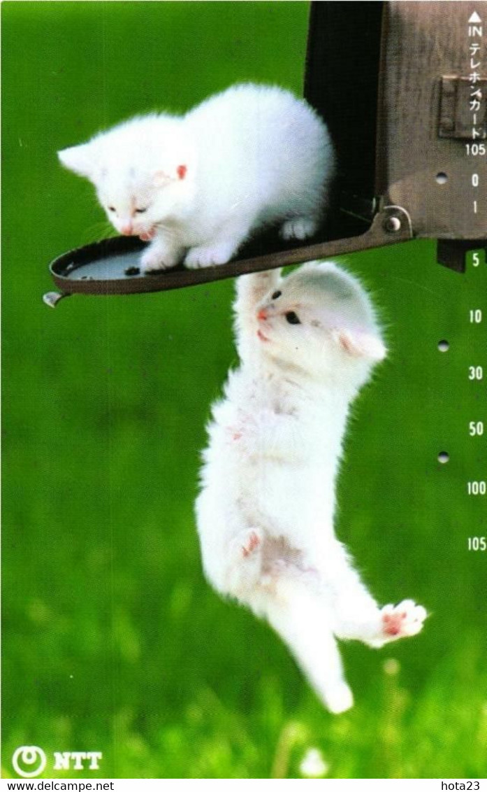 JAPAN 2 Small CATS  Phone Card Phonecard Used  - 1-1 - Gatos