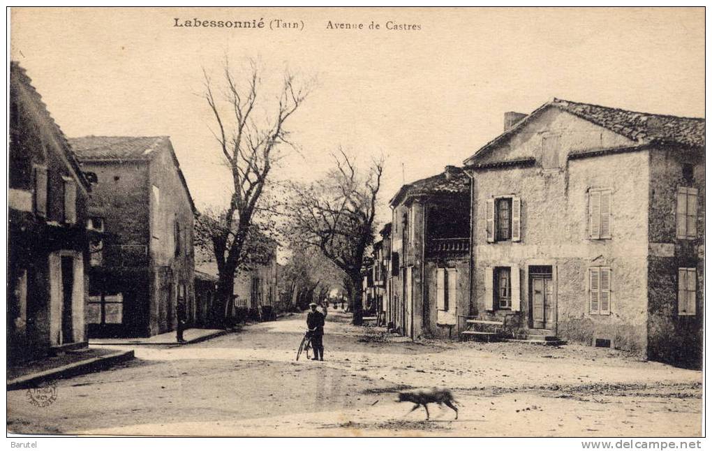 LABESSONNIE - Avenue De Castres - Montredon Labessonie