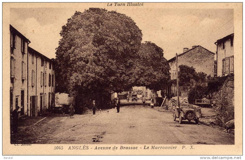 ANGLES DU TARN - Avenue De Brassac. Le Marronnier - Angles