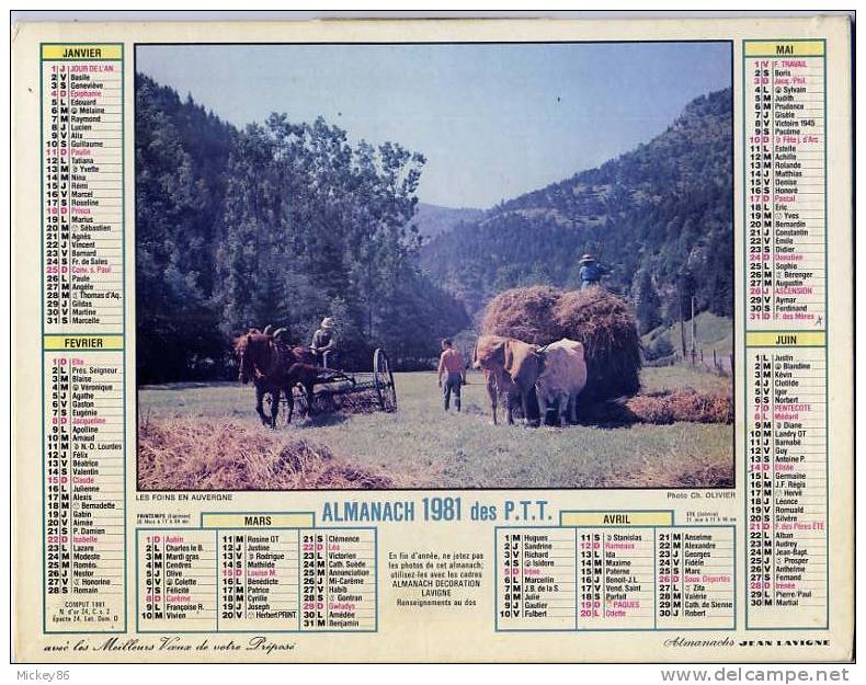 Almanach 1981 Des PTT-département 86-- Scène De Foins En Auvergne Et Paysage Du Jura (vaches) - Grossformat : 1981-90