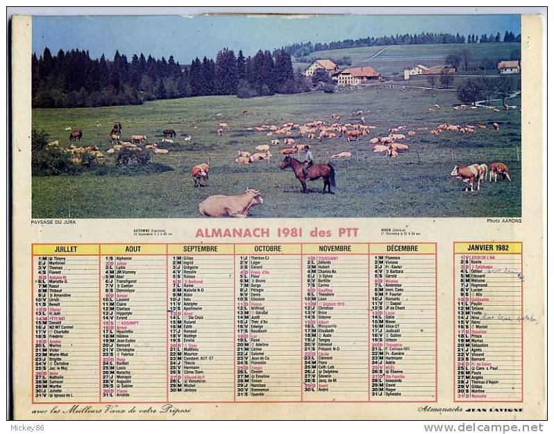 Almanach 1981 Des PTT-département 86-- Scène De Foins En Auvergne Et Paysage Du Jura (vaches) - Grand Format : 1981-90
