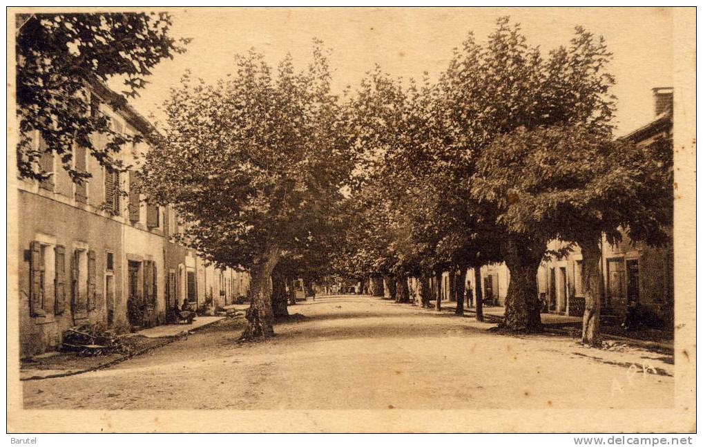 VIELMUR - Boulevard Des Platanes - Vielmur Sur Agout