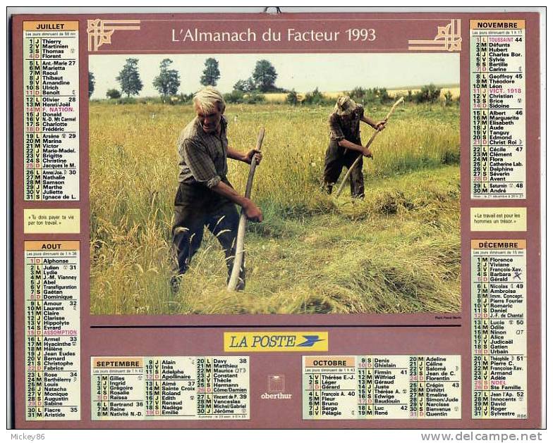 ALMANACH  DE LA POSTE-année  1993-département 86-travaux Des Champs Portrait De Paysan-cheval Et Moisson à La Faux - Formato Grande : 1991-00