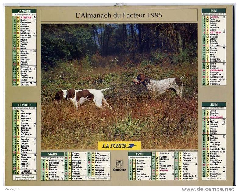 L´almanach Du Facteur  1995  Dépt 86-chiens De Chasse---pointers Et épagneuls - Grossformat : 1991-00