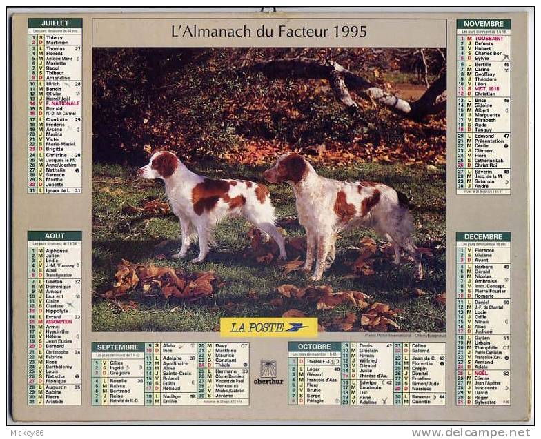 L´almanach Du Facteur  1995  Dépt 86-chiens De Chasse---pointers Et épagneuls - Big : 1991-00