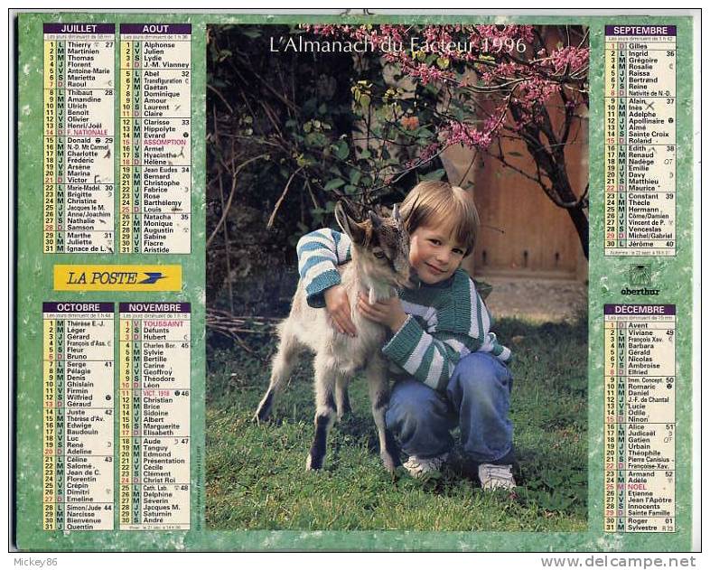 L´almanach Du Facteur  1996  Dépt 86- ENFANTS ET ANIMAUX ( Cheval Et Chèvre) - Grossformat : 1991-00