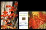 Romania 2001 Phone Card With Flowers. - Romania