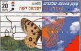 ISRAEL PAPILLON - Papillons