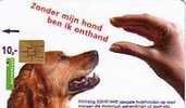 PAYS BAS EPAGNEUL - Honden