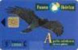 Fauna Iberica-Eagle - Other & Unclassified