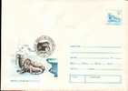 Whales Baleins Enteire Postal 1994. - Autres & Non Classés