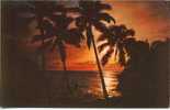 A Beautiful Typical Sunset - Fidji