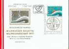 AUTRICHE FDC NUM-YVERT 1385 CANOE - Cartes-Maximum (CM)