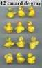 Serie De 12 Petit Canard En Gray - Birds - Ducks