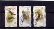 Canada 1969 Yvertnr 422-24 *** MNH Cote 6,50 € Faune Vogels Oiseaux Birds - Unused Stamps