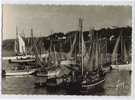 Achat Direct: DOUARNENEZ, Bateaux Sardiniers - Fishing Boats