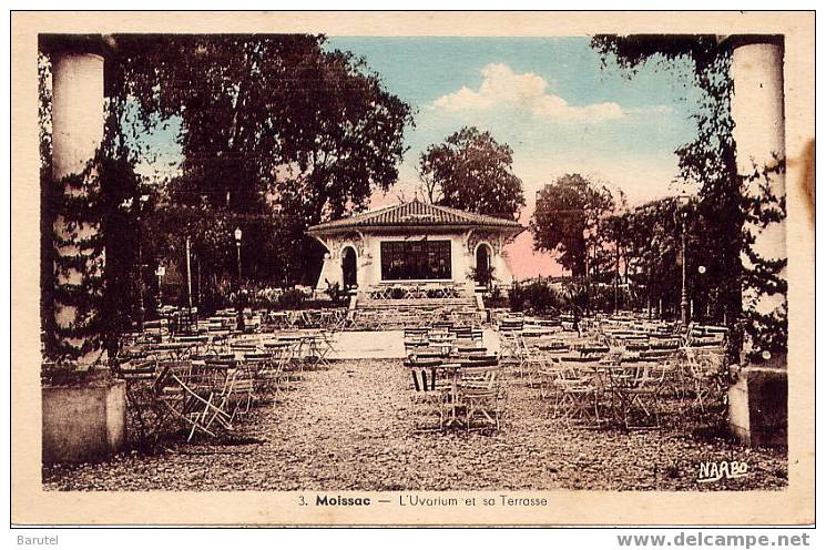 MOISSAC - L´Uvarium Et Sa Terrasse - Moissac