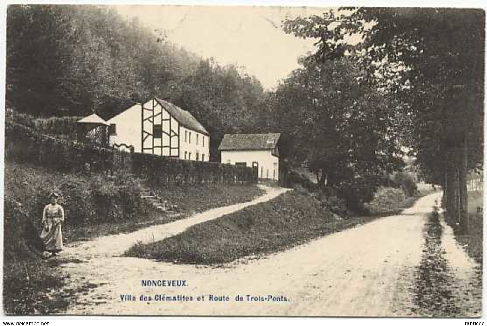 Nonceveux - Villa Des Clématites Et Route De Trois-Ponts - Aywaille