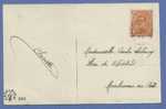 135 Op Postkaart Met Kiesbureelstempel MARCHIENNE AU PONT Op 1/1/19 (noodstempel) - 1915-1920 Albert I