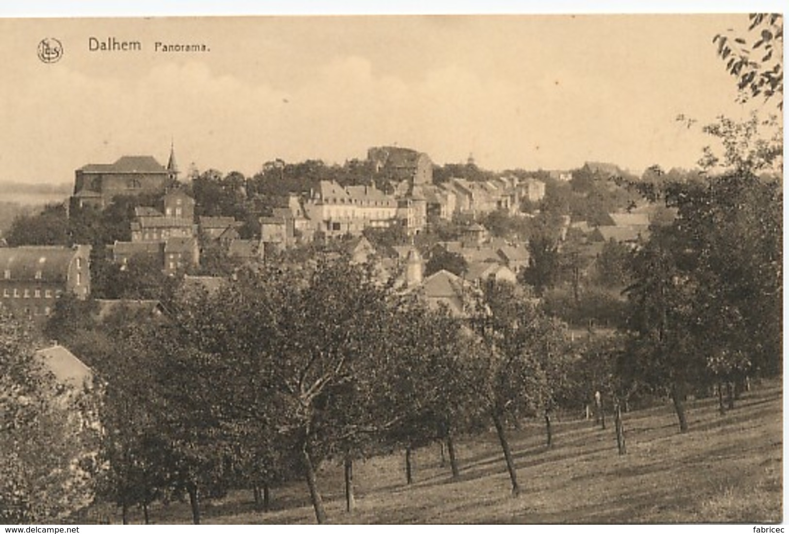 Dalhem - Panorama - Dalhem