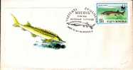 ROMANIA 1995 WWF Fish Cancel Of Cluj-Napoca. - Other & Unclassified