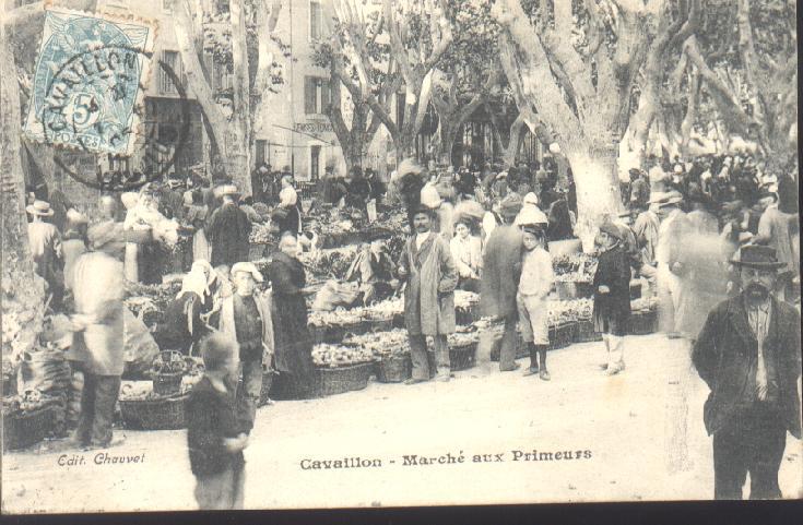 CAVAILLON Marché Aux Primeurs - Cavaillon