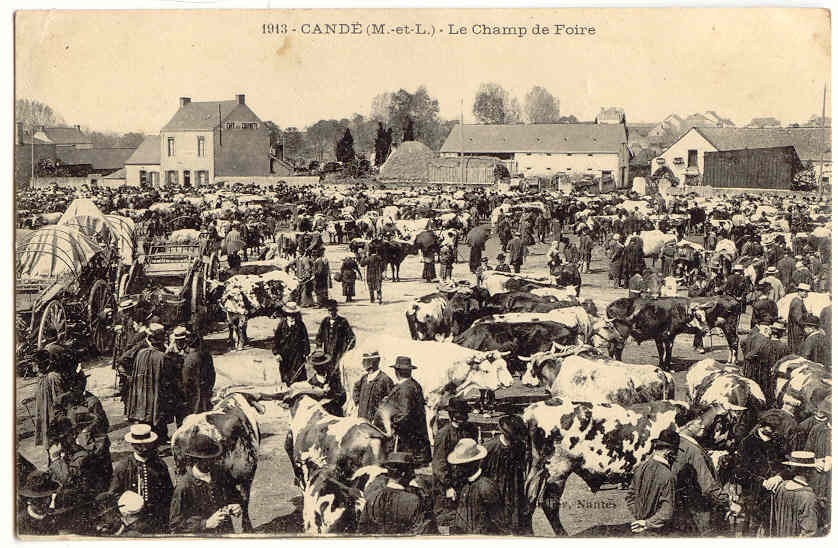 F371 - CANDé (M Et L) - Le Champ De Foire - Foires