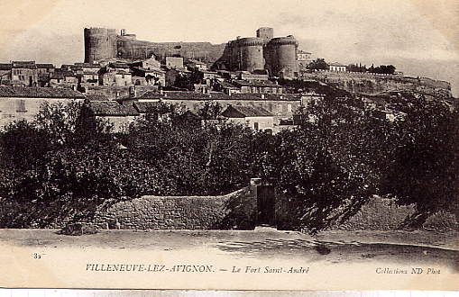 VILLENEUVE LES AVIGNON - Le Fort Saint-André - Villeneuve-lès-Avignon