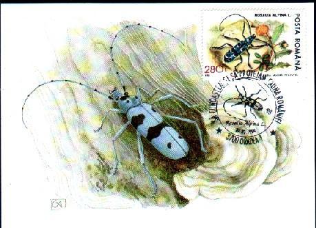 Bulgaria 1989 WWF Enteire Postal. - Tegen De Honger