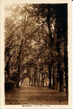 Montbard(cote D´or) Une Allée Du Parc - Montbard