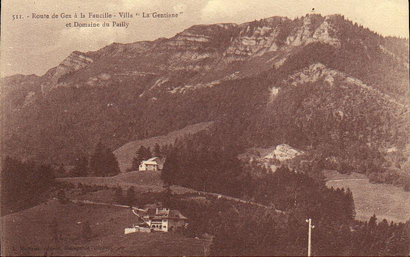 CPA - Gex - Route De Gex à La Faucille - Villa "La Gentiane" Et Domaine Du Pailly - Gex