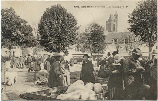 DOL-DE-BRETAGNE - Le Marché - Dol De Bretagne