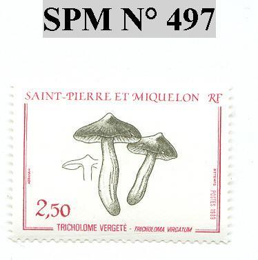 Timbre Saint Pierre Et Miquelon N° 497 - Altri & Non Classificati