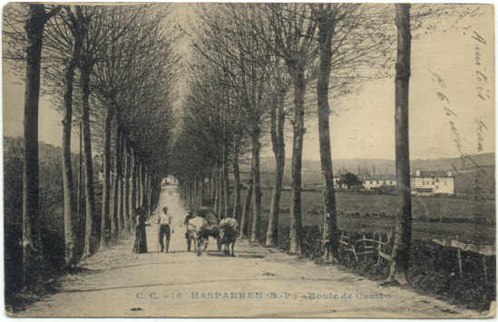 HASPARREN - Route De Cambo - Hasparren