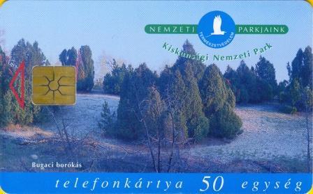 Hungary - P1998-14 - Bird - Coracias Garrulus - Kiskunság National Park - Hongrie