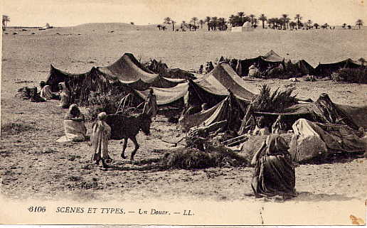 LAGHOUAT (Environs) [Algérie] - Un Douar - Laghouat