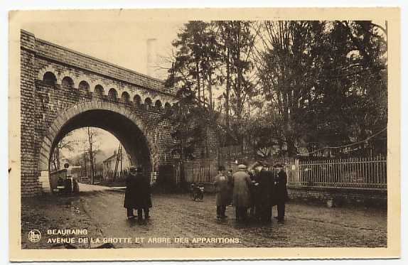 Beauraing - Avenue De La Grotte Et Arbre Des Apparitions - Beauraing
