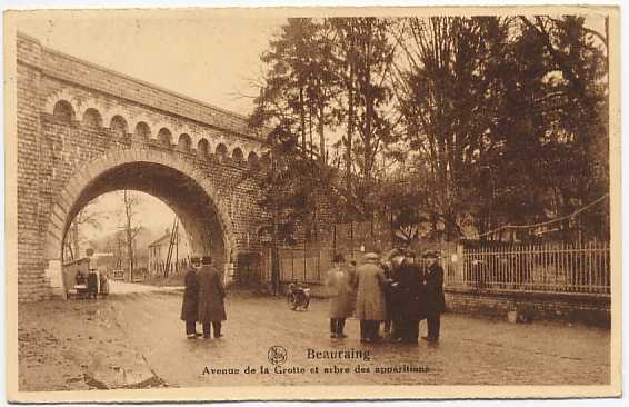 Beauraing - Avenue De La Grotte Et Arbre Des Apparitions - Beauraing