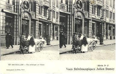 VUE STEREOSCOPIQUES JULIEN DAMOY BRUXELLES UN ATTELAGES DE CHIEN - Stereoscope Cards