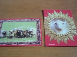 Lot 2 Cpm Artistiques Theme Mouton Sheep Related Postcards - Other & Unclassified