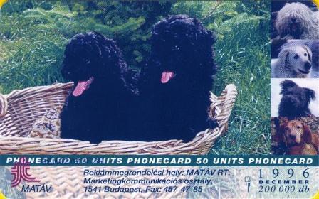 Hungary - P1996-21 - Puli - Dog - Ungheria