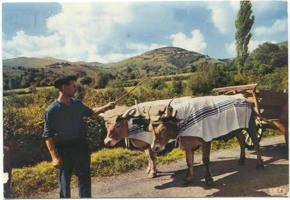 ATTELAGE BASQUE - Attelages