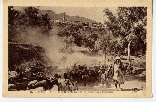 TLEMCEN Sidi Bou Medine Et La Route Des Cascades - Tlemcen