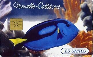 @+ Nouvelle Caledonie - Le Poisson (25U) - Nouvelle-Calédonie