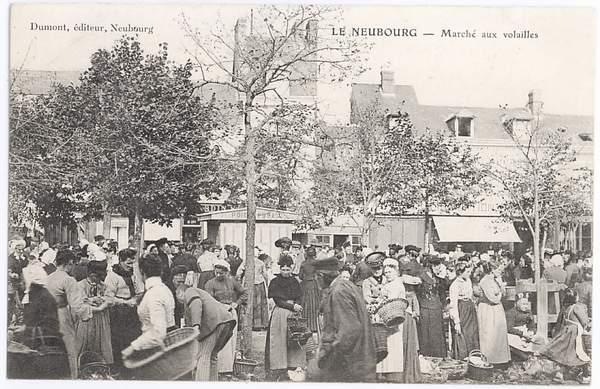 27-005  LE NEUBOURG   Marché Aux Volailles - Le Neubourg