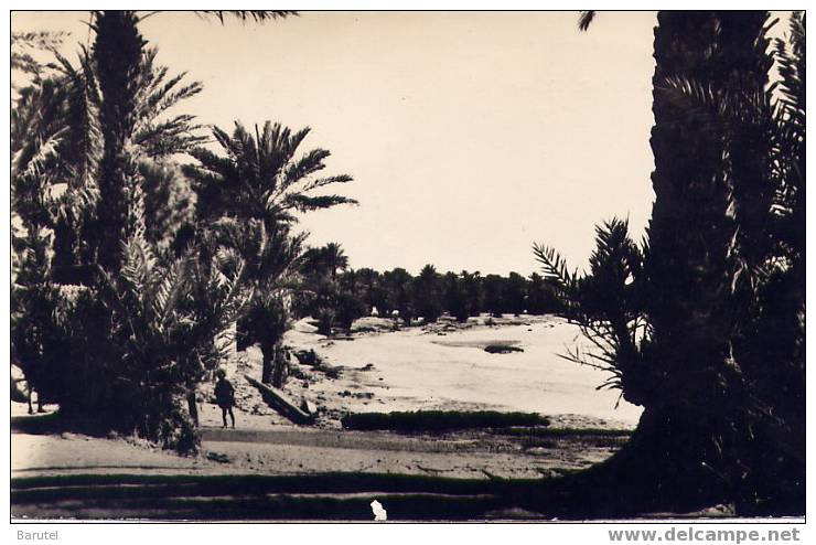 COLOMB BECHAR ~ BECHAR [Algérie] - L´Oued - Bechar (Colomb Béchar)