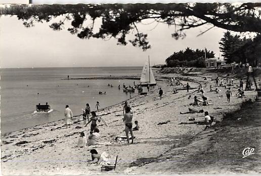 LA FLOTTE     LA PLAGE   CPSM N°1569 - Ile De Ré