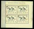 POLOGNE BLOC Nº 28 A 30 ** - Blocks & Sheetlets & Panes